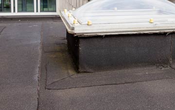 disadvantages of Aldon flat roofs